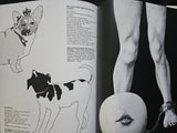 The Beatles Illustrated Lyrics
