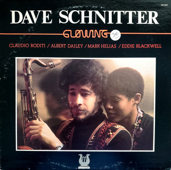 Dave Schnitter – Glowing (LP)