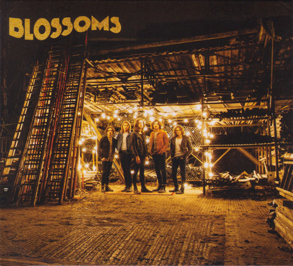 Blossoms – Blossoms (LP)