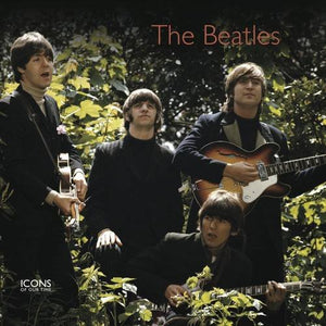 The Beatles (Icons of Our Time)