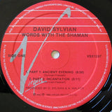 David Sylvian - Words With The Shaman (12")