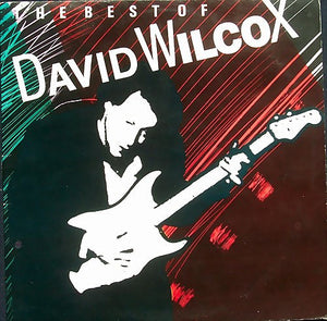 David Wilcox ‎🇨🇦 – The Best Of David Wilcox (LP)