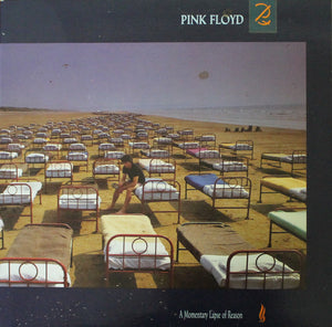 Pink Floyd - A Momentary Lapse Of Reason (LP)