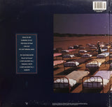 Pink Floyd - A Momentary Lapse Of Reason (LP)