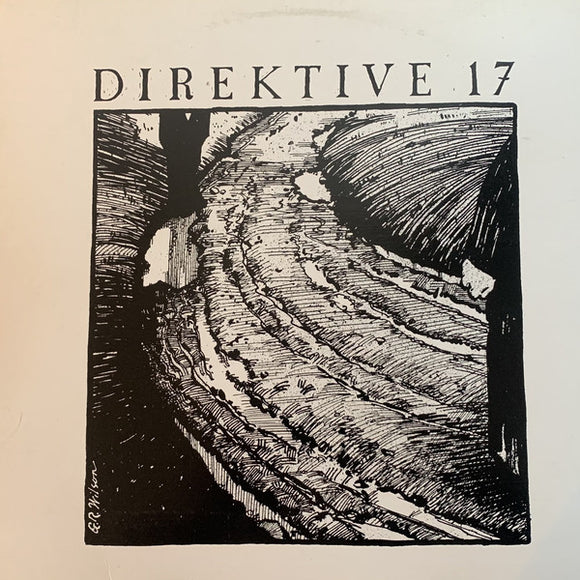 Direktive 17 – Direktive 17 (LP)