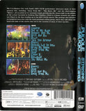 Puddle Of Mudd - Striking That Familiar Chord (DVD)