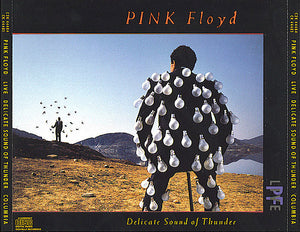 Pink Floyd - Delicate Sound Of Thunder (2xCD)