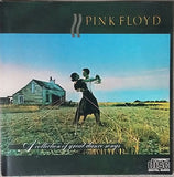 Pink Floyd - A Collection Of Great Dance Songs (CD)