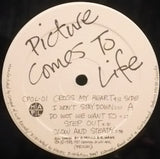 Picture Comes To Life – Picture Comes To Life (LP)