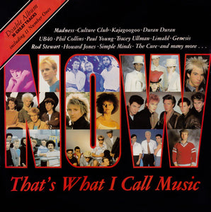 Various ‎– Now That's What I Call Music (2xLP)